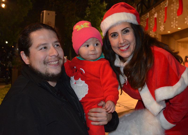 Holiday Snow Village 2015 63